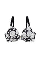 Black Garden Rose Print