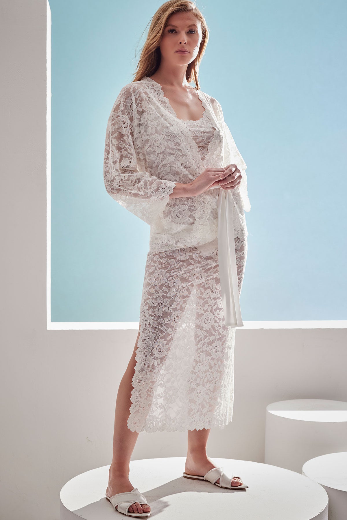 Natori Peony Allover Lace Slip Dress