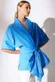 Aster Blue