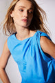 Aster Blue