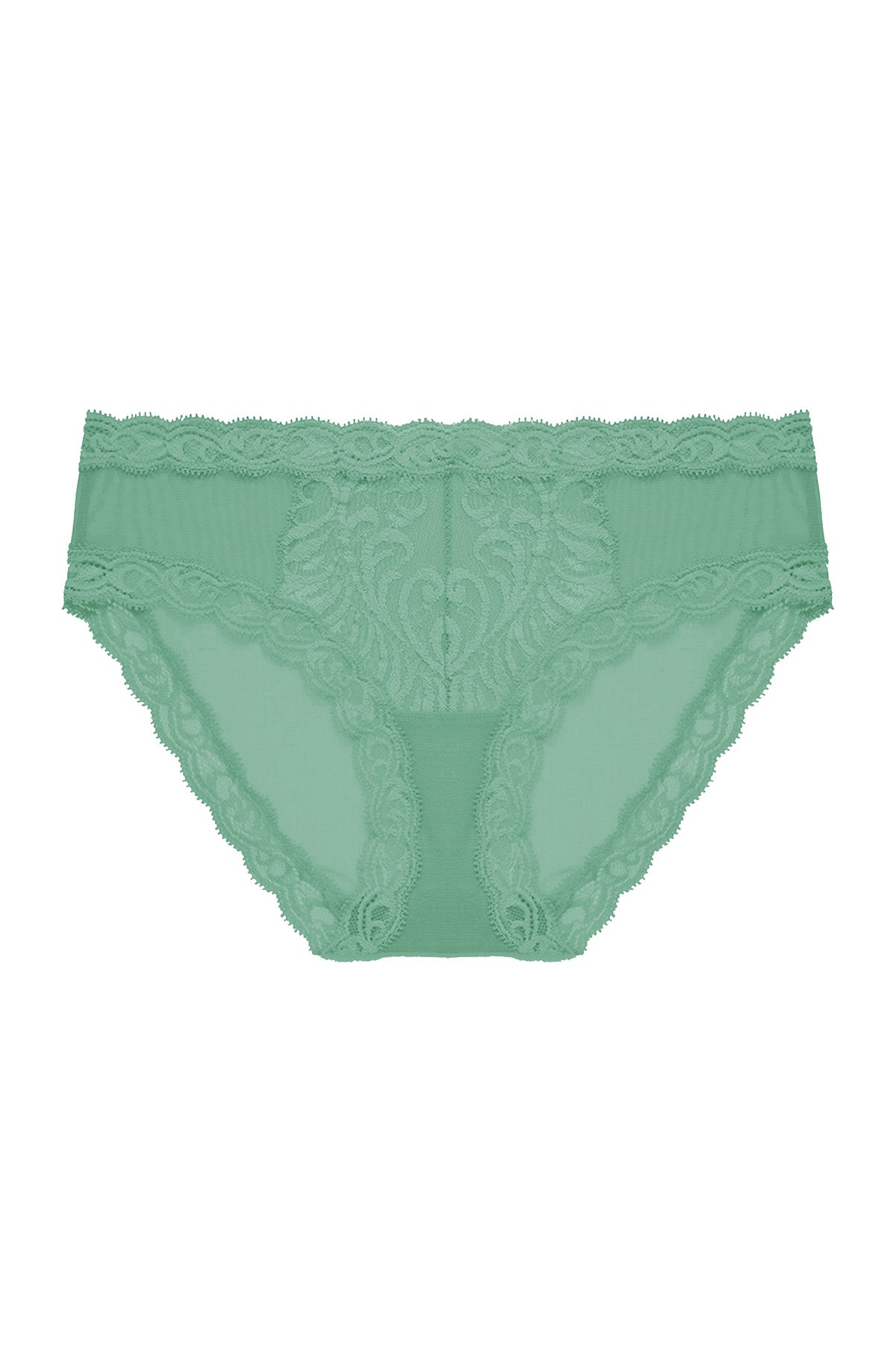 Natori Feathers Hipster