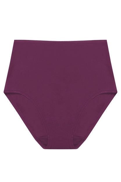 Natori Bliss Bare Cotton High Waist Brief