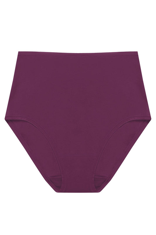 Natori Bliss Bare Cotton High Waist Brief