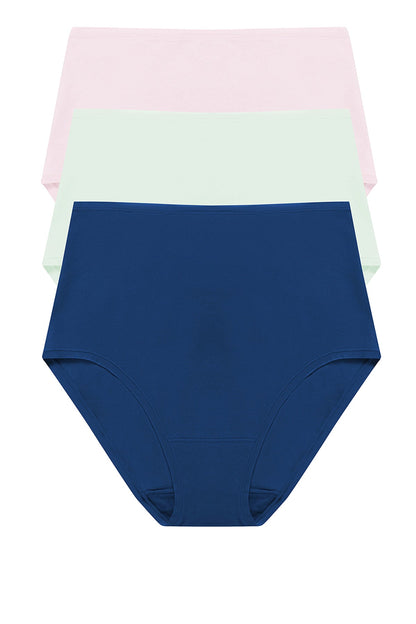 Natori Bliss Bare Cotton High Waist Brief 3-Pack