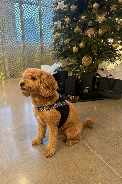 Natori Luxe Leopard Dog Harness