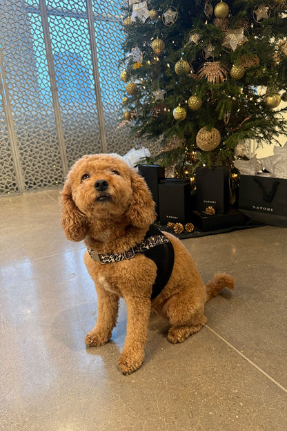 Natori Luxe Leopard Dog Harness