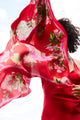 Chrysanthemum Red